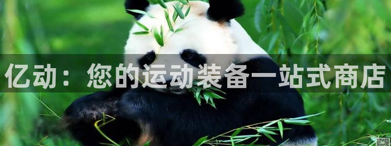 欧陆娱乐信誉吗：亿动：您的运动装备一站式商店