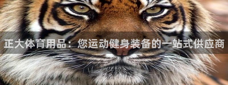 欧陆娱乐怎么注册账号：正大体育用品：您运动健身装备的