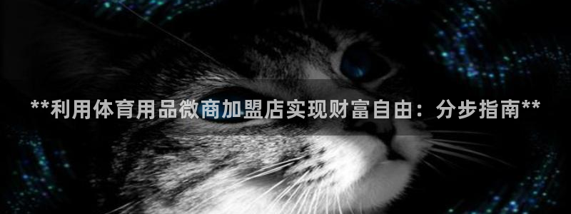 欧陆娱乐挂机项目怎么弄：**利用体育用品微商加盟店实