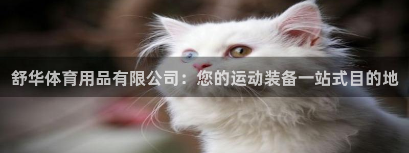 欧陆娱乐平台咋样赚钱：舒华体育用品有限公司：您的运动