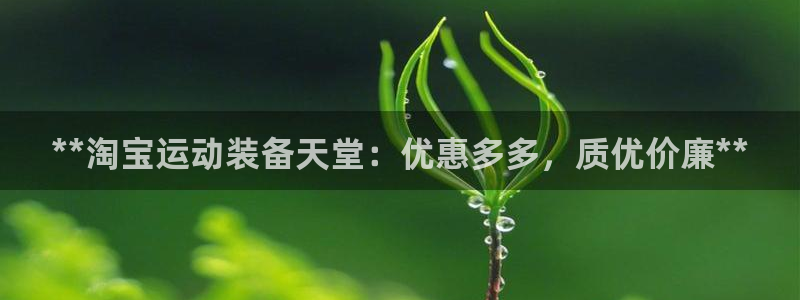 欧陆娱乐安全吗：**淘宝运动装备天堂：优惠多多，质优