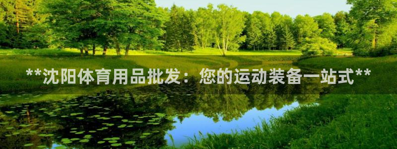 欧陆娱乐不让提现怎么办：**沈阳体育用品批发：您的运