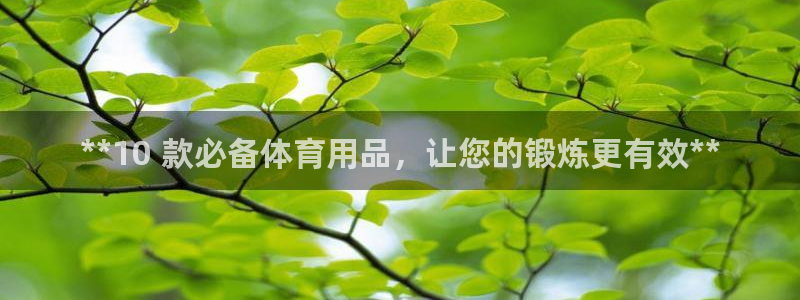 欧陆娱乐可以退钱吗安全吗：**10 款必备体育用品，