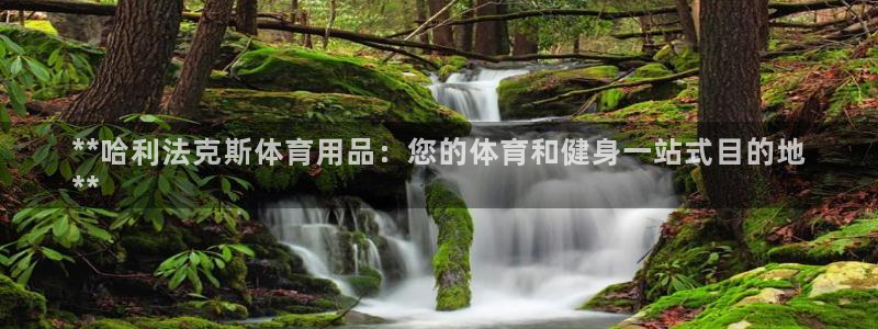 欧陆娱乐注册链接怎么弄出来：**哈利法克斯体育用品：