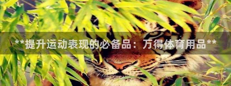欧陆娱乐官网下载安装最新版本：**提升运动表现的必备