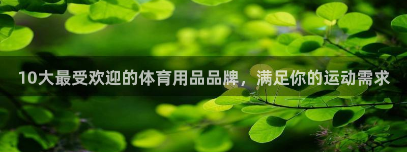 欧陆娱乐官网首页：10大最受欢迎的体育用品品牌，满足