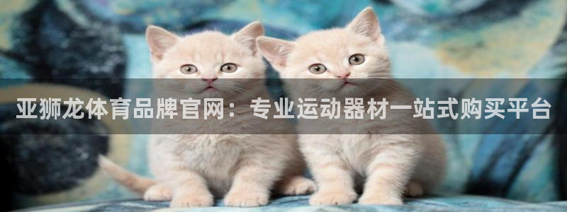 欧陆娱乐出款：亚狮龙体育品牌官网：专业运动器材一站式