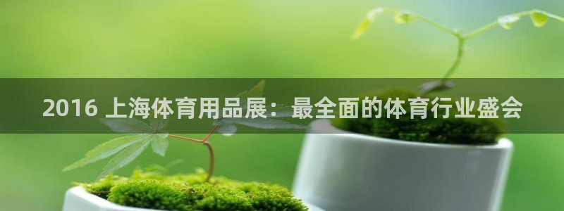 欧陆娱乐官网：2016 上海体育用品展：最全面的体育
