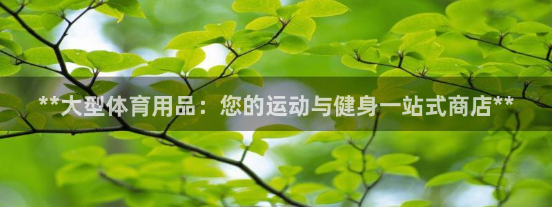欧陆娱乐代理多少个点位合适：**大型体育用品：您的运