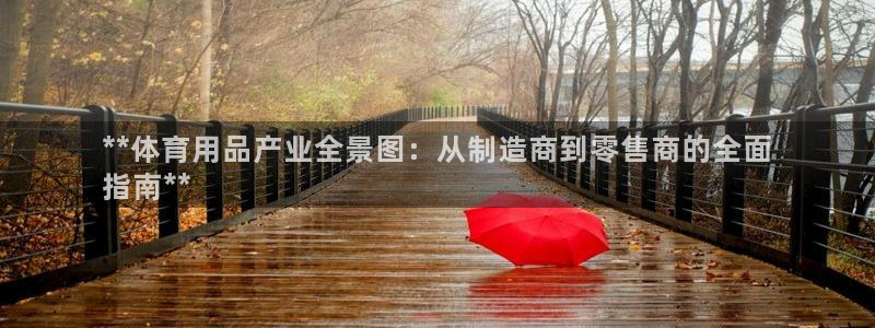 欧陆娱乐公司产品介绍怎么写：**体育用品产业全景图：