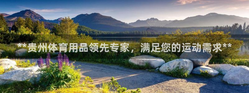 欧陆娱乐官网首页：**贵州体育用品领先专家，满足您的