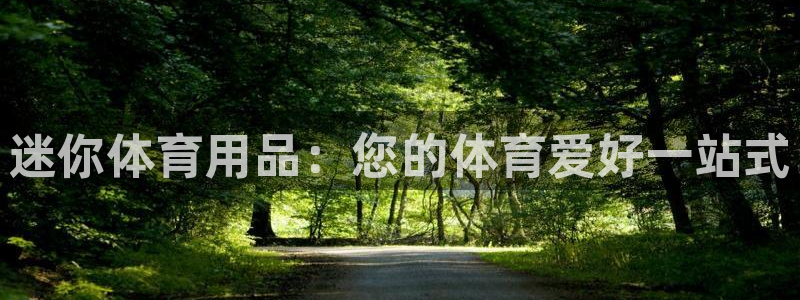 欧陆娱乐信誉如何：迷你体育用品：您的体育爱好一站式