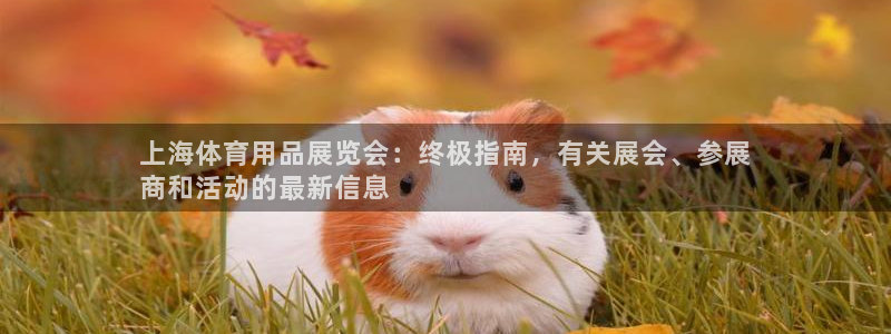 欧陆娱乐是正规平台吗安全吗可靠吗：上海体育用品展览会