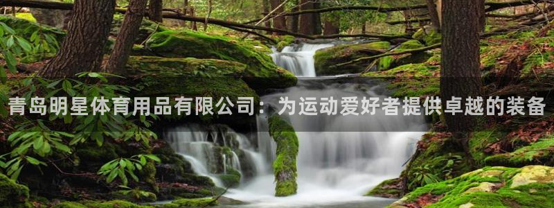 欧陆娱乐登陆平台下载：青岛明星体育用品有限公司：为运