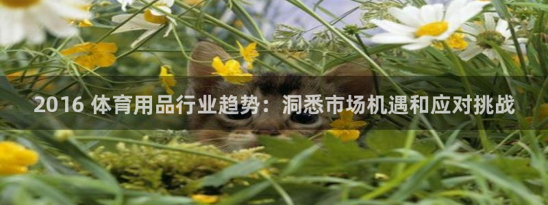欧陆娱乐会员有什么用：2016 体育用品行业趋势：洞