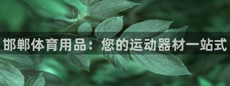 欧陆娱乐测速网站：邯郸体育用品：您的运动器材一站式