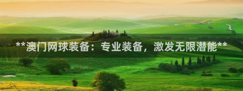 欧陆娱乐测速软件下载：**澳门网球装备：专业装备，激