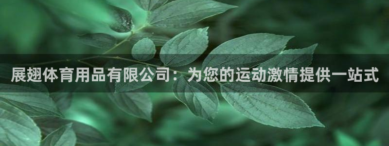 欧陆娱乐注册链接：展翅体育用品有限公司：为您的运动激