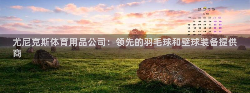 欧陆娱乐共创美好时刻：尤尼克斯体育用品公司：领先的羽