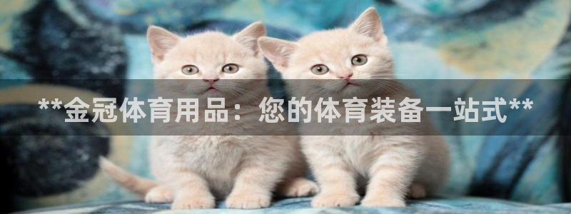 欧陆娱乐平台官网：**金冠体育用品：您的体育装备一站