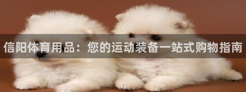 欧陆娱乐有风险吗：信阳体育用品：您的运动装备一站式购物指南