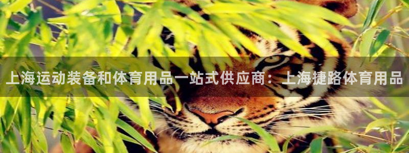 欧陆娱乐累计盈利多少就会被劝退呢