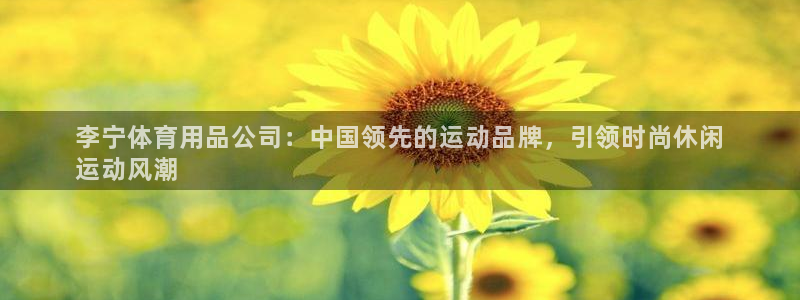 欧陆娱乐平台登录不上去怎么办：李宁体育用品公司：中国领先的运