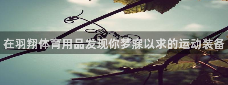 欧陆娱乐稳中：在羽翔体育用品发现你梦寐以求的运动装备