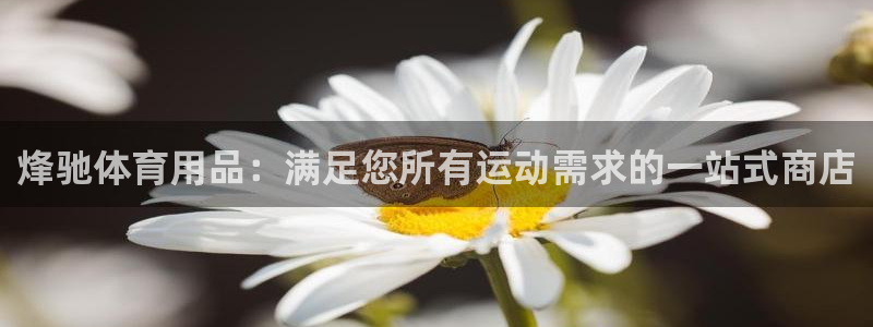 欧陆娱乐是真的吗：烽驰体育用品：满足您所有运动需求的