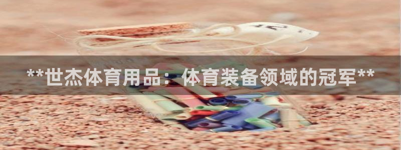 欧陆官方网站：**世杰体育用品：体育装备领域的冠军*