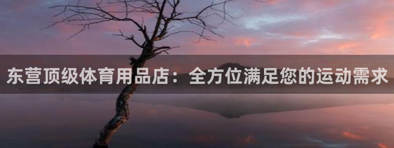 欧陆娱乐测速：东营顶级体育用品店：全方位满足您的运动