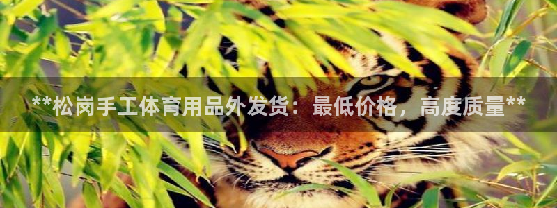 欧陆娱乐不让提现吗：**松岗手工体育用品外发货：最低