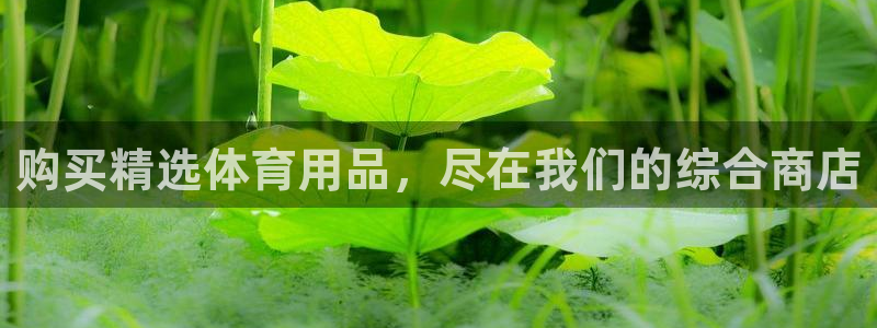 欧陆娱乐平台登陆地址是什么样的：购买精选体育用品，尽