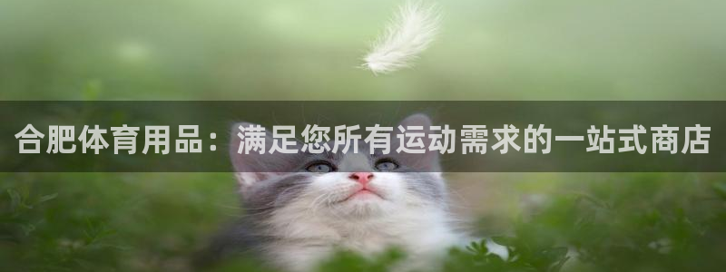 欧陆娱乐欧陆主管：合肥体育用品：满足您所有运动需求的