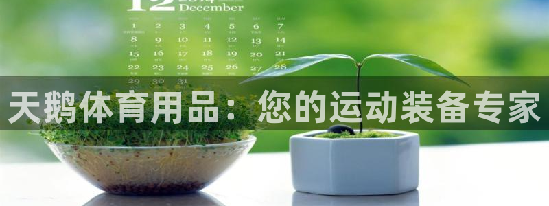 欧陆娱乐图片：天鹅体育用品：您的运动装备专家