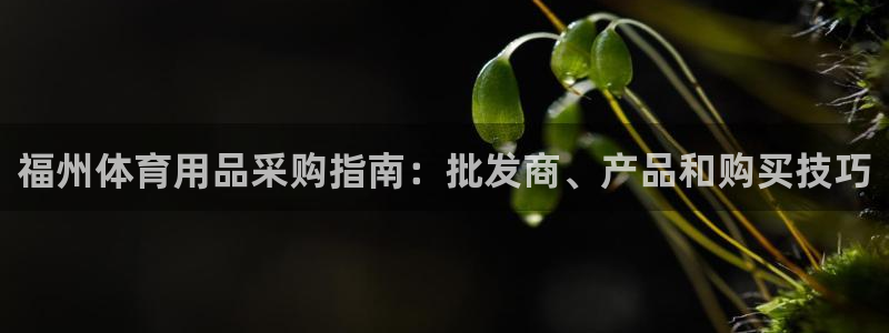 欧陆娱乐平台官网下载：福州体育用品采购指南：批发商、