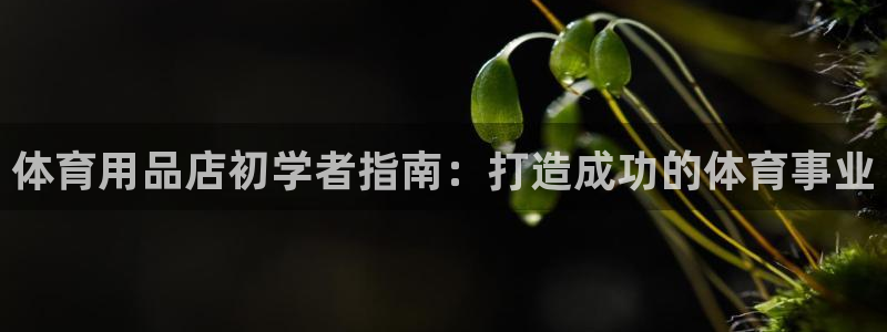 欧陆娱乐平台登录不上去了：体育用品店初学者指南：打造