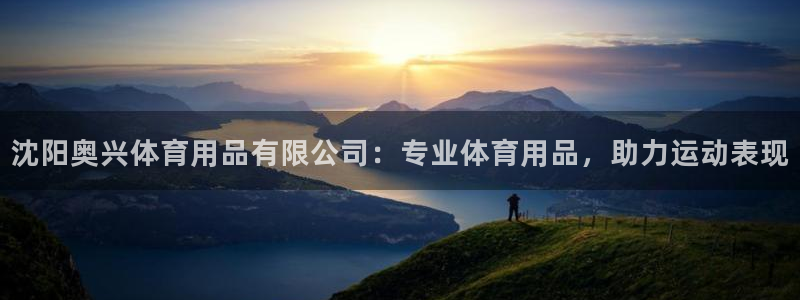 欧陆娱乐官网下载安装苹果：沈阳奥兴体育用品有限公司：