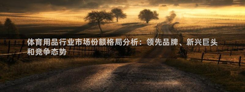 欧陆娱乐平台登陆地址：体育用品行业市场份额格局分析：