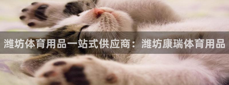 欧陆娱乐线路测速：潍坊体育用品一站式供应商：潍坊康瑞