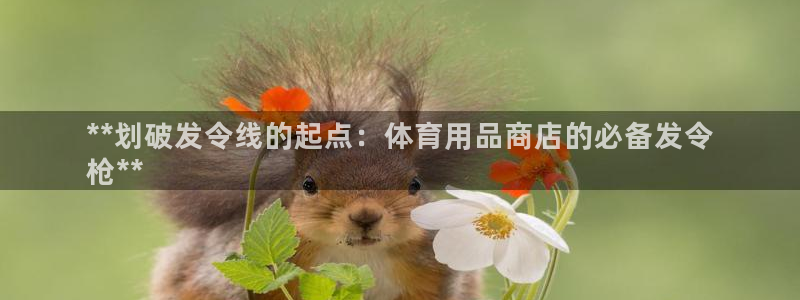 欧陆娱乐平台登录不上去：**划破发令线的起点：体育用