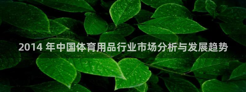 欧陆娱乐官网下载安装最新版：2014 年中国体育用品
