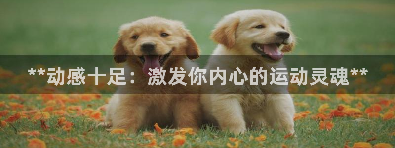 欧陆娱乐计划预测软件下载：**动感十足：激发你内心的