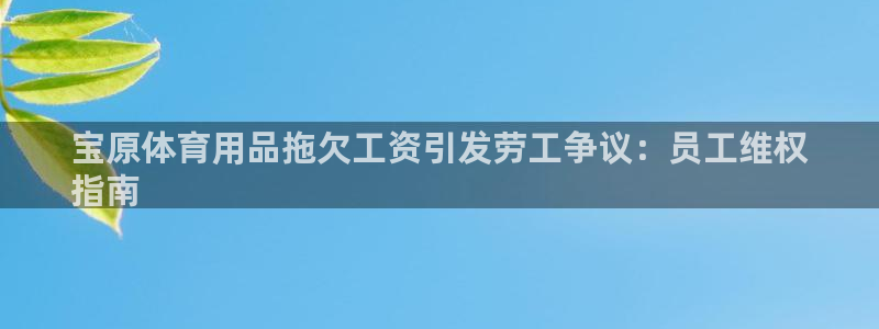 欧陆娱乐官网首页下载：宝原体育用品拖欠工资引发劳工争
