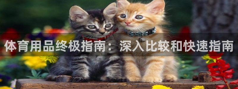 欧陆娱乐平台登录不上去怎么回事：体育用品终极指南：深