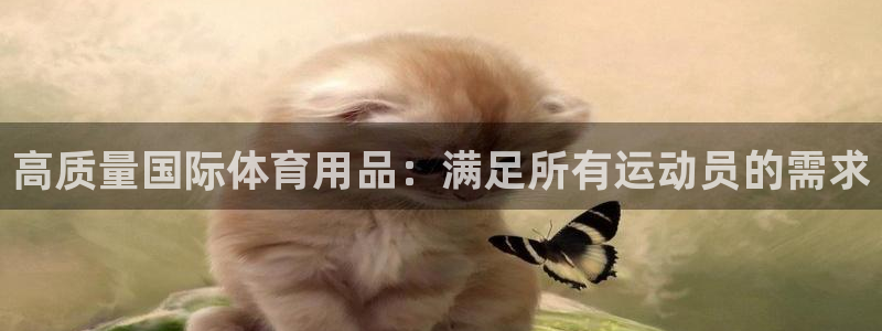 欧陆论坛：高质量国际体育用品：满足所有运动员的需求
