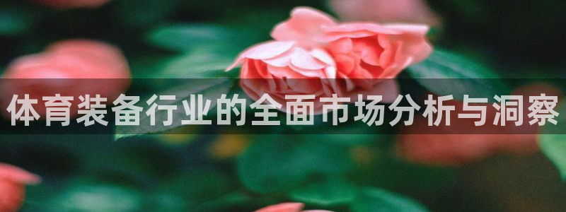 欧陆娱乐官网首页下载：体育装备行业的全面市场分析与洞