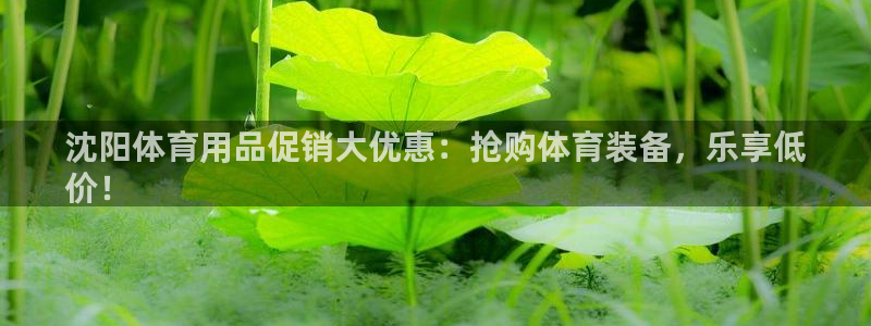 欧陆娱乐是正规平台吗安全吗可信吗：沈阳体育用品促销大