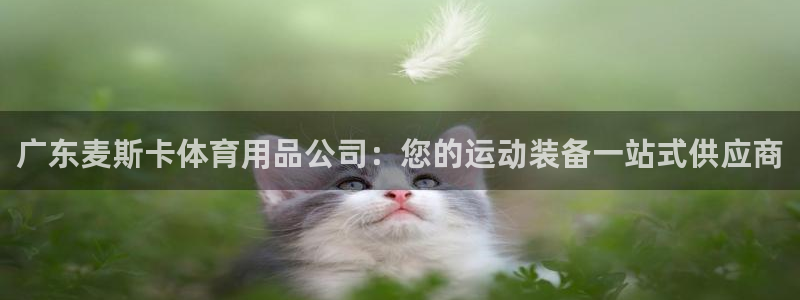 欧陆娱乐脚本：广东麦斯卡体育用品公司：您的运动装备一