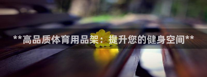 欧陆娱乐平台登录不上去怎么办：**高品质体育用品架：提升您的